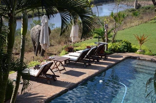 Khandizwe Kruger Villa ماليلين الغرفة الصورة