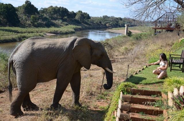 Khandizwe Kruger Villa ماليلين الغرفة الصورة